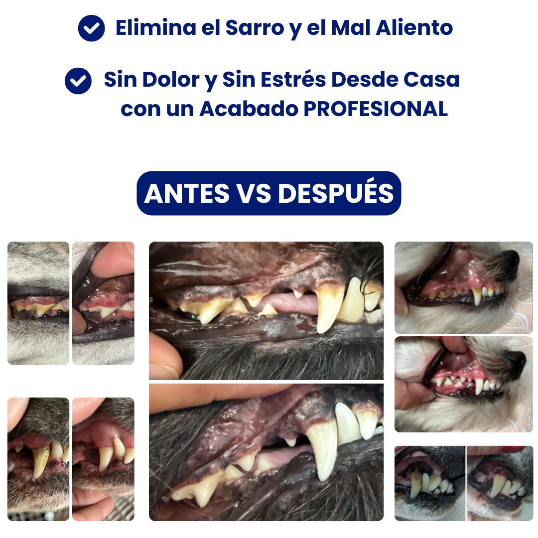 DentaPup Limpieza Canina Profesional en Casa