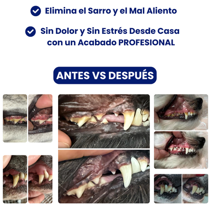 DentaPup Limpieza Canina Profesional en Casa