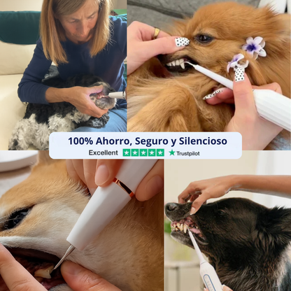 DentaPup Limpieza Canina Profesional en Casa