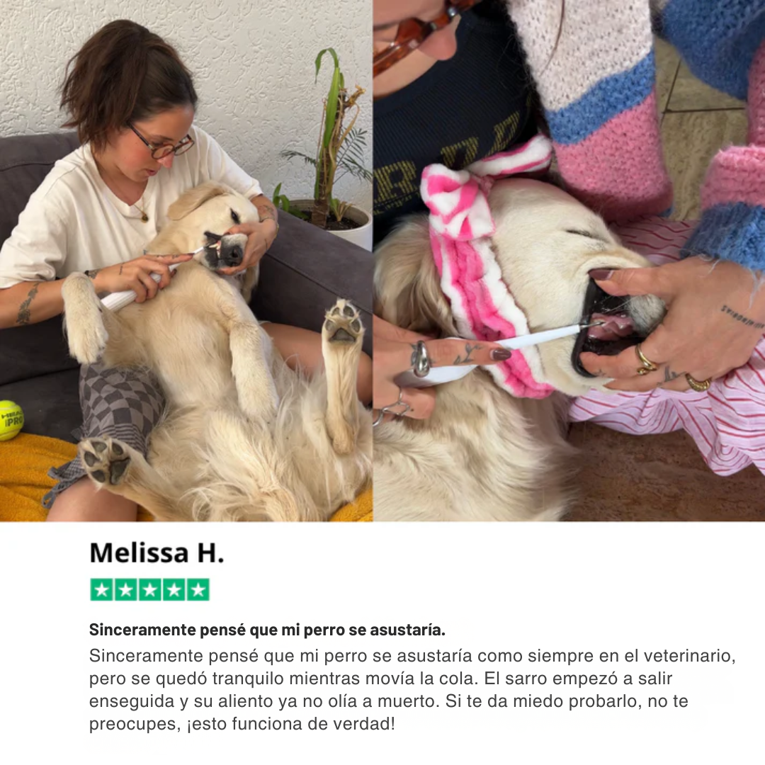 DentaPup Limpieza Canina Profesional en Casa