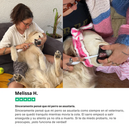 DentaPup Limpieza Canina Profesional en Casa