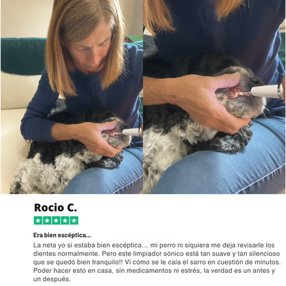 DentaPup Limpieza Canina Profesional en Casa